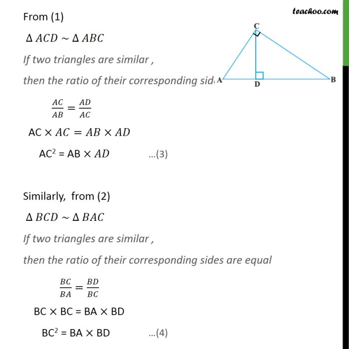 Bisect bd