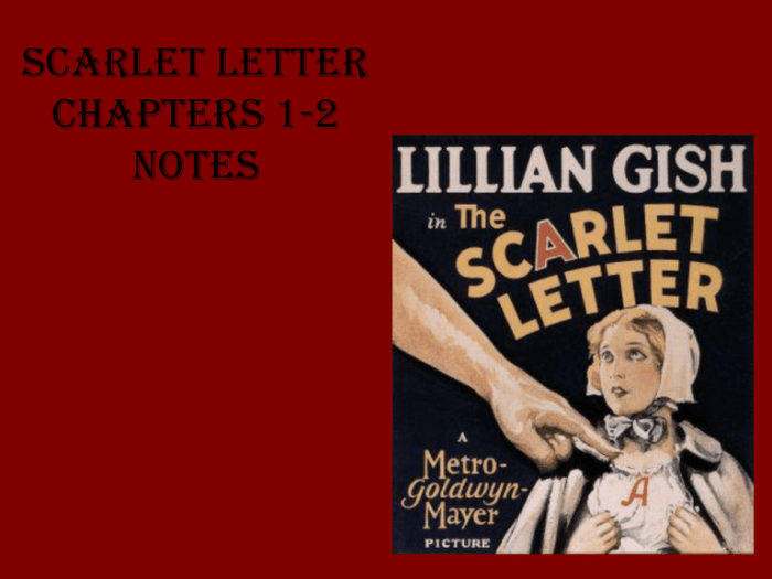 The scarlet letter chapter 23