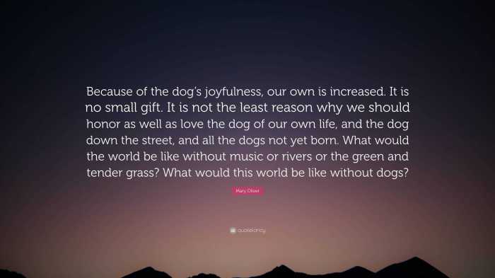 The sweetness of dogs mary oliver