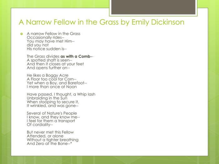 Grass fellow narrow dickinson emily essay