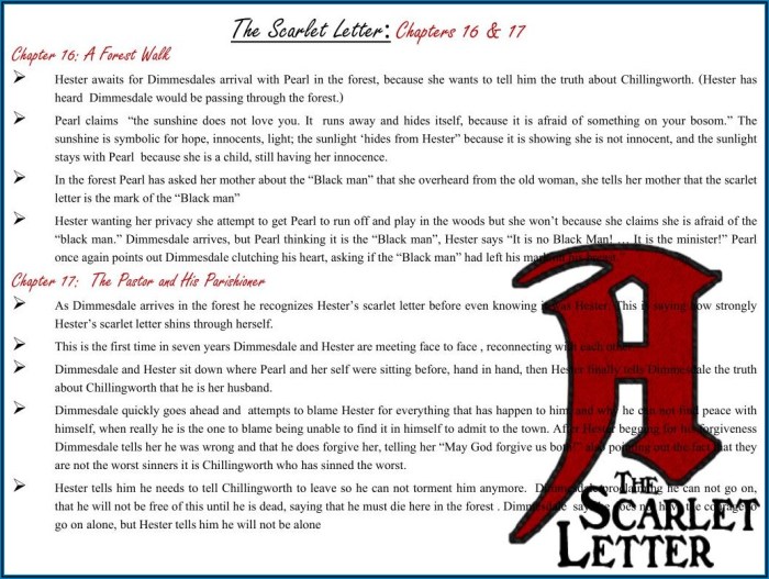 The scarlet letter chapter 23