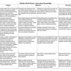 In the context of intercultural competence critical scholars emphasize the