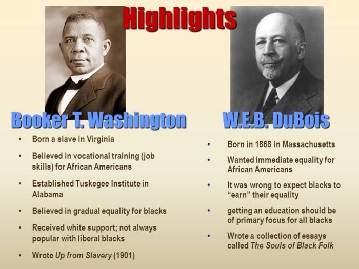 Booker t washington and web dubois venn diagram