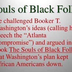 Booker t washington and web dubois venn diagram